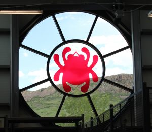 bug-window