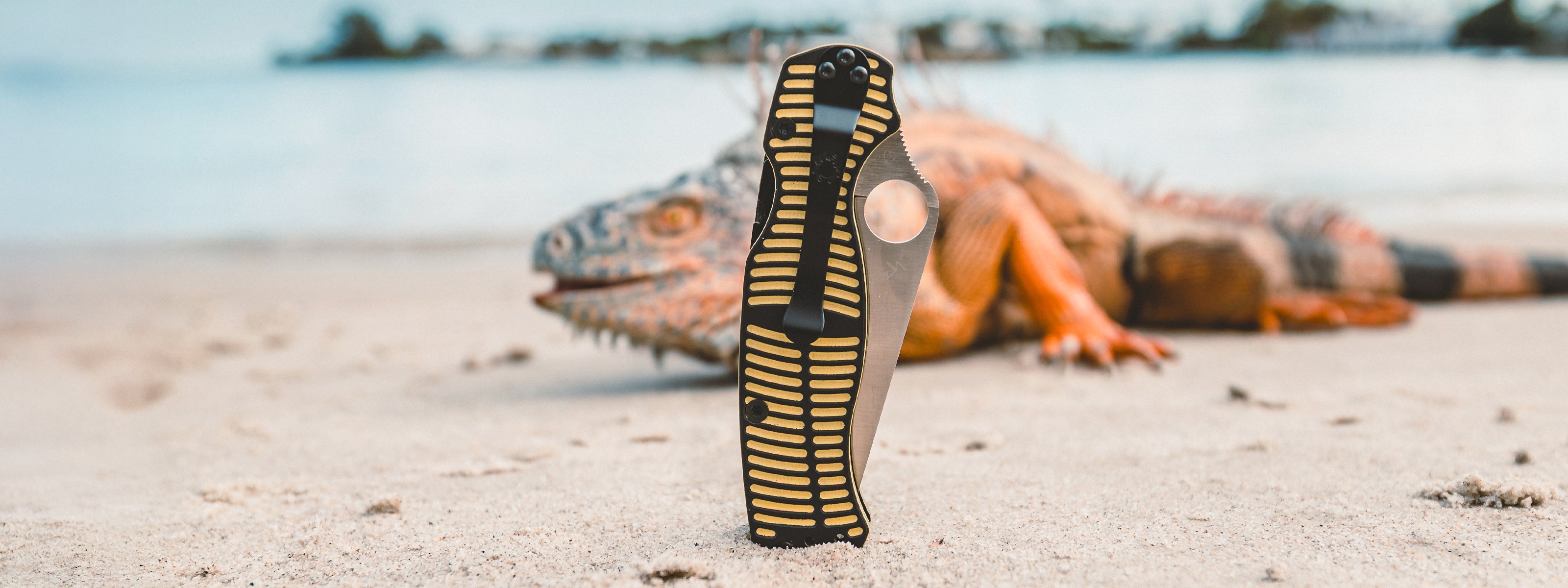 Salt® Series Knives – Spyderco