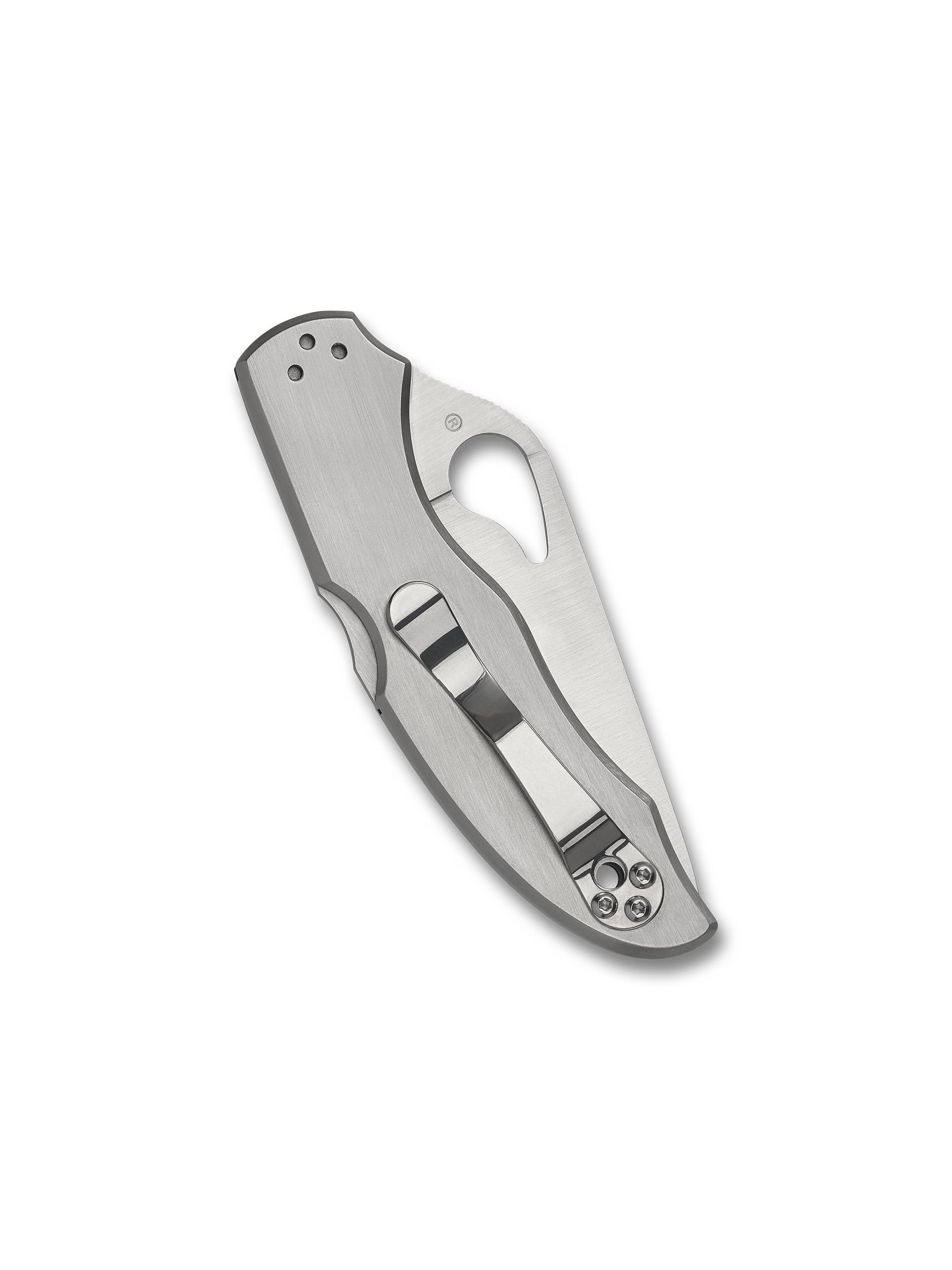 Harrier™ 2 Stainless – Spyderco