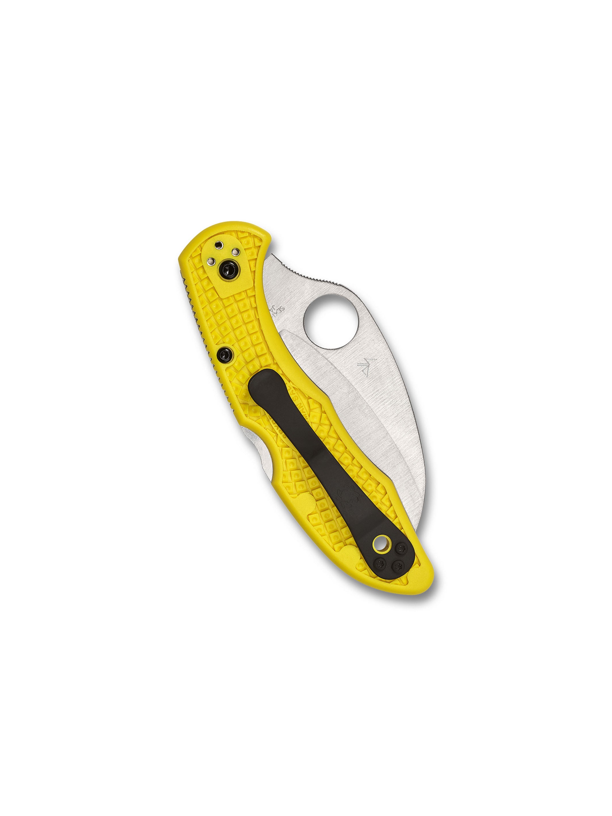 Tasman™ Salt® 2 – Spyderco
