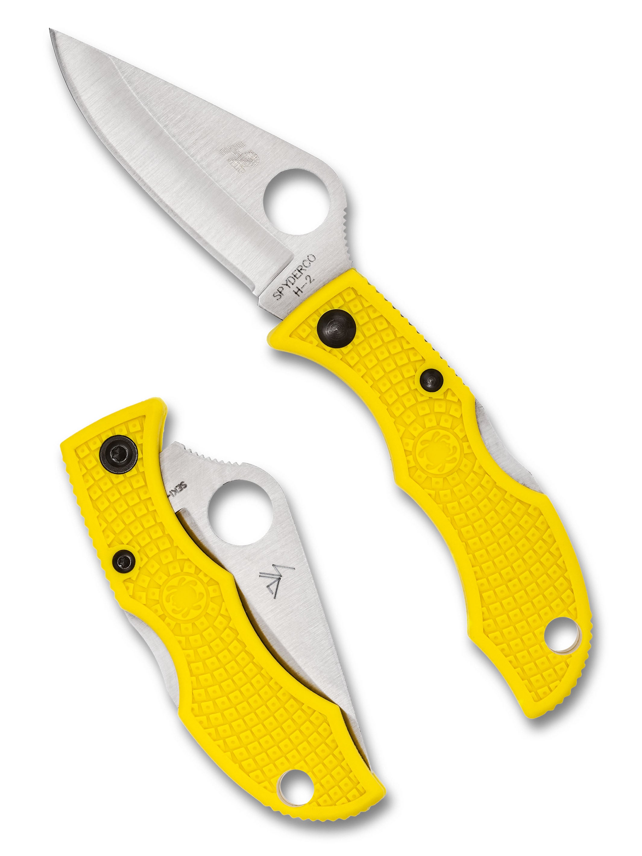 Ladybug® 3 Salt® – Spyderco