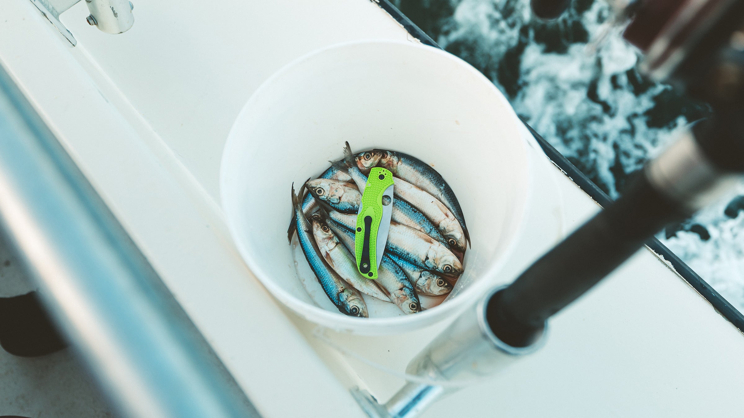 A closed green Spyderco Native Chief sits closed atop bait fish in a bucket